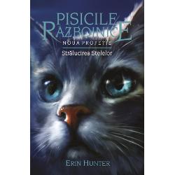 Pisicile Razboinice (vol X) - Stralucirea Stelelor