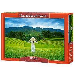 Puzzle cu 1000 de piese Castorland – Rice fields in Vietnam 105052 1000+