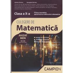 Culegere de matematica Clasa a X-a Filiera teoretica, specializarea matematica-informatica