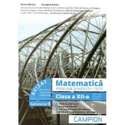 Matematica. Probleme si exercitii - teste. Clasa a XII-a, Semestrul I, Profilul tehnic