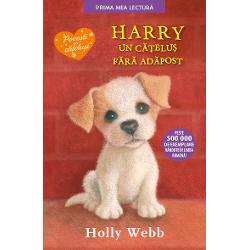 Harry, un catelus fara adapost (editie necartonata) imagine librarie clb