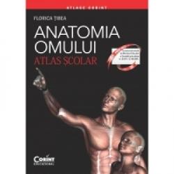 Corint Logistic Srl - Atlas scolar anatomia omului (editia 2015, revizuita)