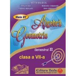 Algebra, geometrie clasa a VII a semestrul II