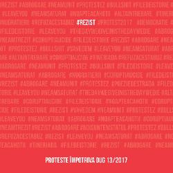 rezist. Pancarte de la protestele OUG 13/2017