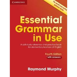 Essential Grammar in use 4th edition