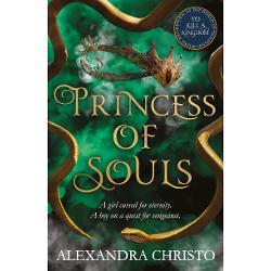 Princess of Souls: from the author of To Kill a Kingdom, the TikTok sensation