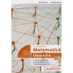 Culegere de matematica clasa a X a semestrul II M2
