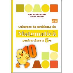 Culegere de probleme de matematica pentru clasa a VI a (editia 2023) Puisor