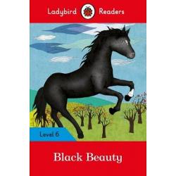 Ladybird readers: level 6 black beauty