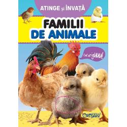 Familii de animale (Atinge si invata)