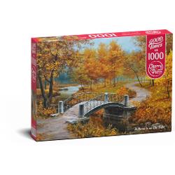 Puzzle 1000 piese autumn in an old park-timaro 30240