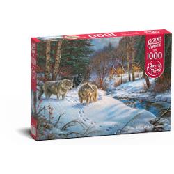 Puzzle 1000 piese valley of the shadows -timaro 30301