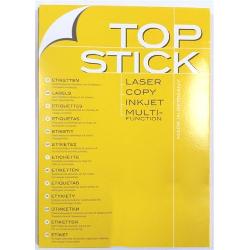Etichete autoadezive, 10 per pagina, 105x57 mm, albe Top Stick 100f HE-8735