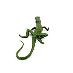 Figurina Parodi - Iguana 22 cm JFP20320