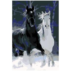Set de pictura pe numere, panza bumbac pe rama lemn, 40x60 cm, cai alb si negru 1009