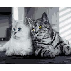 Set de pictura pe numere 40x50 cm - pisici alb negru, panza de bumbac pe rama de lemn gx25598