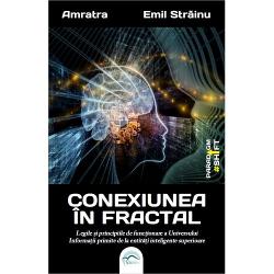 Conexiunea in fractal. Legile si principiile de functionare ale universului