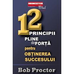 12 principii pline de forta pentru obtinerea succesului