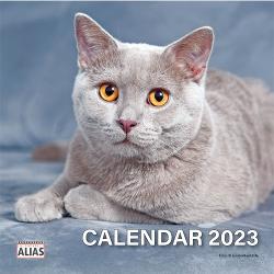 Mini calendar capsat pisici