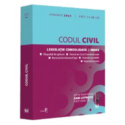 Codul civil: Ianuarie 2023