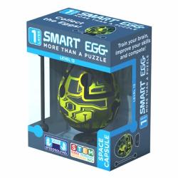 Joc Smart Egg 1, Capsula Spatiala