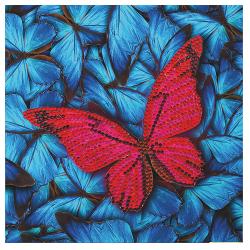 Set creativ Butterfly 18x18cm CCK-A41