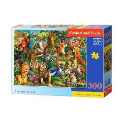 Puzzle de 300 de piese cu Amazing Animals Dimensiuni cutie 325×225×5cm Dimensiune puzzle 40×29cm Pentru cei cu varste de peste 8 ani
