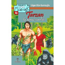 Creat de Edgar Rice Burroughs romanul Tarzan a aparut pentru prima data in 1912 in revista The All-Story  Tarzan din neamul maimutelor Tarzan of the Apes a fost publicat in 1914 Au urmat 23 de continuari cateva versiuni ale altor autori si nenumarate adaptari in alte medii autorizate si neautorizate Tarzan este considerat unul dintre cele mai cunoscute personaje literare din lume Acesta a aparut in filme piese radio 