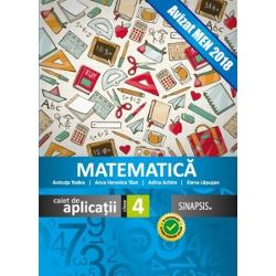 Matematica caiet de aplicatii cls. IV