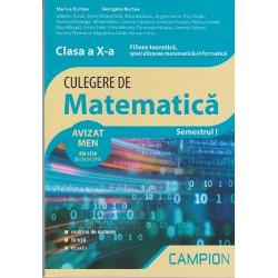 Culegere de matematica Clasa a X-a Semestrul I Filiera teoretica, specializarea matematica-informatica