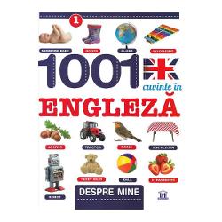 1001 cuvinte in engleza - despre mine