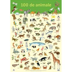 Plansa - 100 de animaleDimensiuni 70 x 50 cmGreutate 013 kg