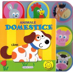 Pentru prichindei - animale domestice