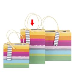 Punga Cadou Dungi Multicolore 18X25X8Cm- (204539) A204541