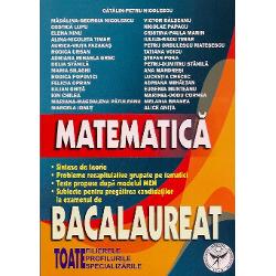 Matematica bacalaureat 2013