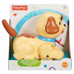  Jucarie Catelus Adorabil Fisher Price MTH9447
