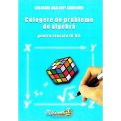 Culegere algebra clasele IX-XII 2009-Schneider