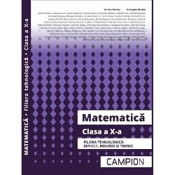 Matematica clasa a X a Filiera tehnologica