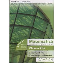 Matematica probleme si exercitii clasa a XI a profilul tehnic