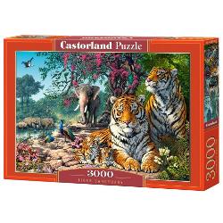 Puzzle de 3000 de piese cu Tiger Sanctuary Cutia are dimensiunile de 38×265×5 cm iar puzzle-ul are 92×68 cm Recomandat celor cu vârste de peste 9 ani
