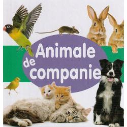 O minunata carte frumos ilustrata cu ajutorul careia copiii vor invata mai usor numele animalelor de companie 