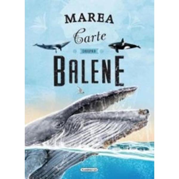 Marea carte despre balene o enciclopedie plina de imagini si multe lucruri de invatat pentru copii si oameni mari
