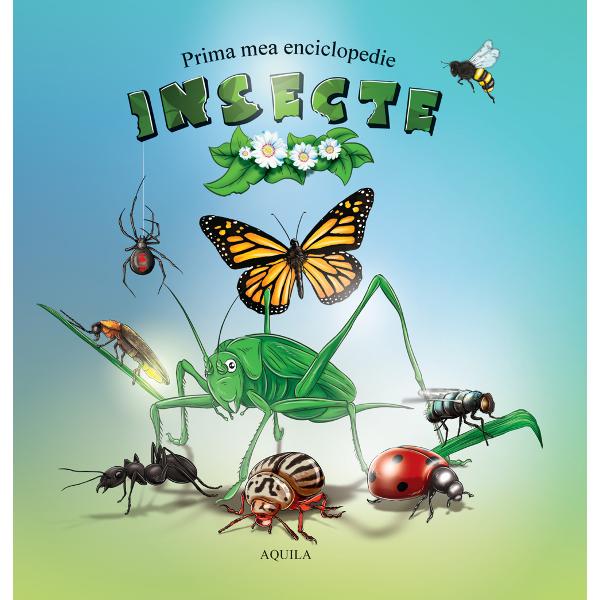 Prima mea enciclopedie Insecte îi va introduce pe cei mici în lumea insectelor Vocabularul de la final vine ca o completare a întregii enciclopedii &351;i explic&259; unele cuvinte întâlnite de-a lungul celor 48 de pagini  Un trailer al acestei c&259;r&539;i îl vede&539;i la 