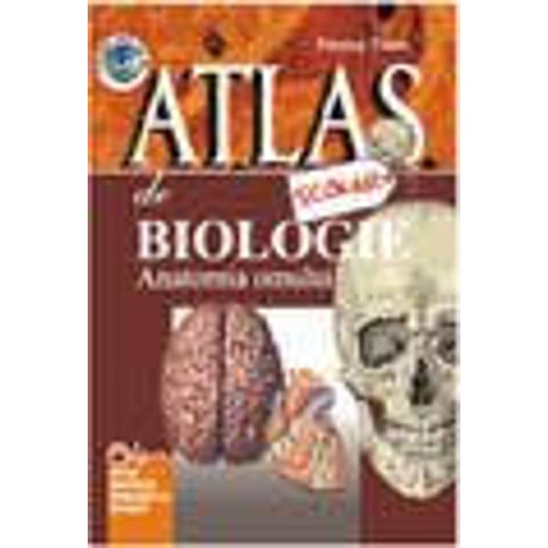 Atlas scolar anatomie umana