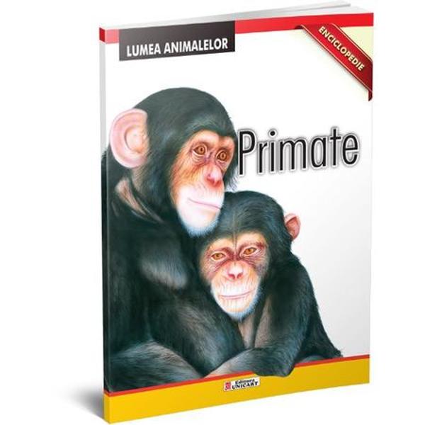 Enciclopedie primate