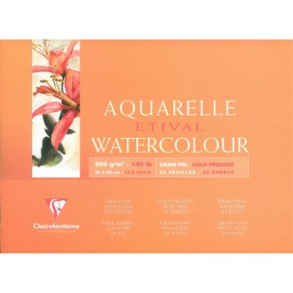 The pure cellulose watercolour paper now has many of the same qualities as the pure cotton watercolour paper excellent preservation very good capacity of absorption and the ability to alter your work there is a possibility to erase almost all traces of painting