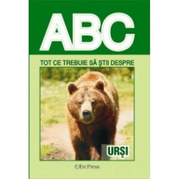 ABC Tot ce trebuie sa stii despre ursi