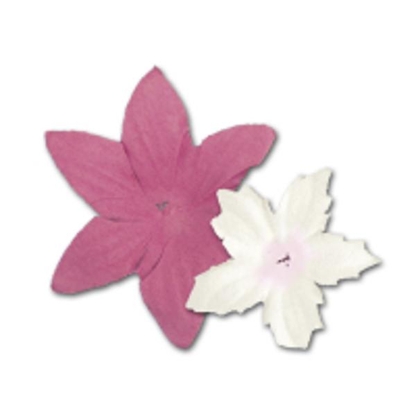 Borcan cu 80 flori din hartie roz-albe Ideal pentru decorarea albumelor foto felicitari etc Florile pot fi atasate cu clipsuri cu cristale Contine 80 piese -40 flori mari diametru 42 cm-40 flori mici cu diametru 