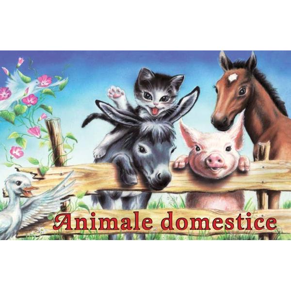 Un minunat pliant cartonat despre cateva animale domestice