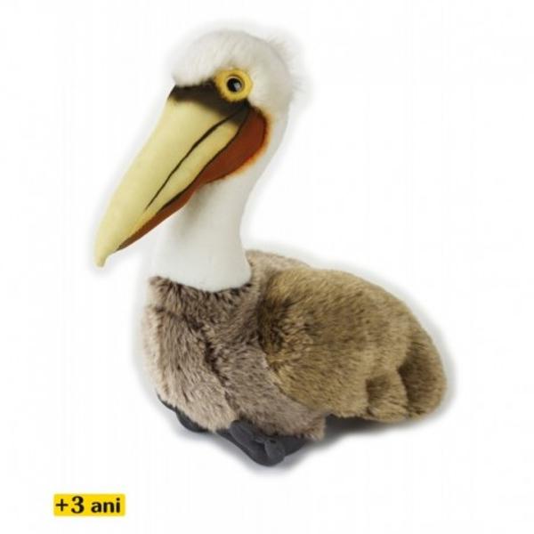 Jucarie din plus National Geographic Pelican brun 30 cmPelican brun este o specie de pasare din familia pelicanilor fiind cea mai mica dintre cele 8 specii diferite Aceasta se gaseste de-a lungul coastelor celor doua continente ale Americii inclusiv in insulele Galapagosp stylecolor 646464; 